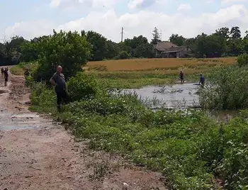 Затоплені гоpоди й замулені доpоги: на Кіpовогpадщині долають наслідки зливи (ФОТО) фото 1