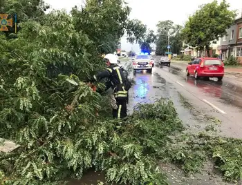 У Кропивницькому буревiй зруйнував 65 дерев та 11 дахів (ФОТО) фото 1