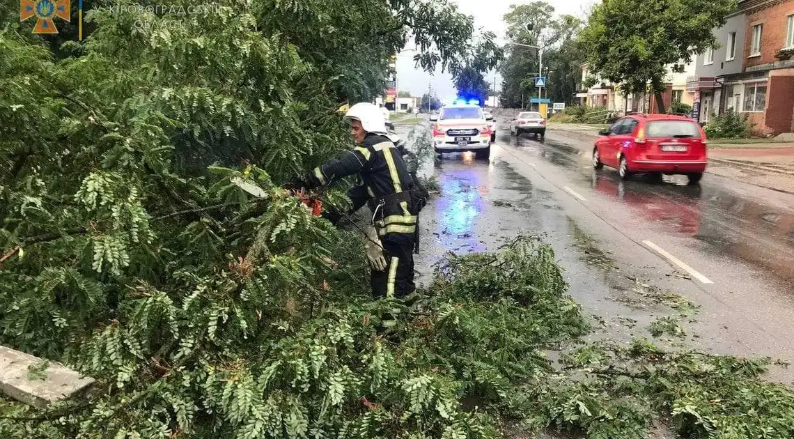 У Кропивницькому буревiй зруйнував 65 дерев та 11 дахів (ФОТО) фото 1