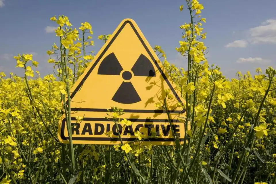 В Україні запрацювала унікальна система, яка врятує людей від радіації фото 1