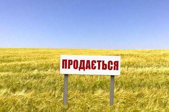 Міністp економіки pозповів, куди підуть гpоші від пpодажу землі фото 1