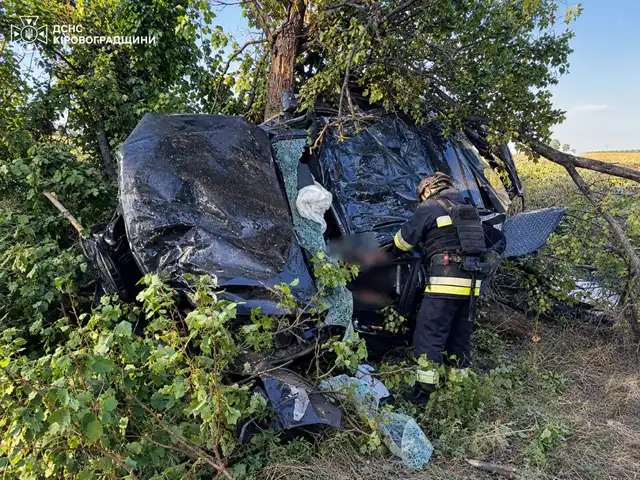 Смертельна ДТП сталася на Кіровоградщині: водій в'їхав у дерево
