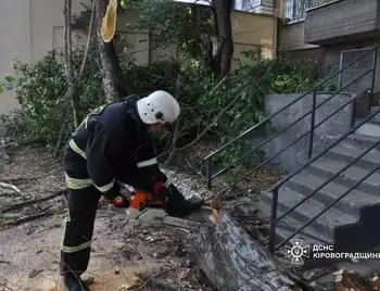 рятувальники прибирають повалені дерева у Кропивницькому