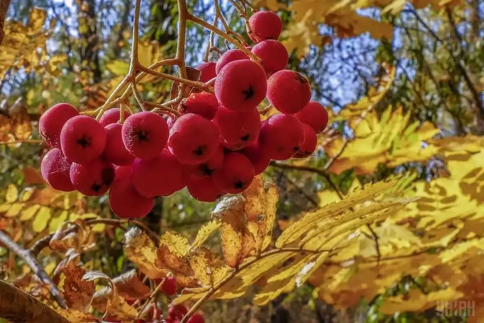 Вихідні у жовтні: коли та скільки відпочиватимуть українці