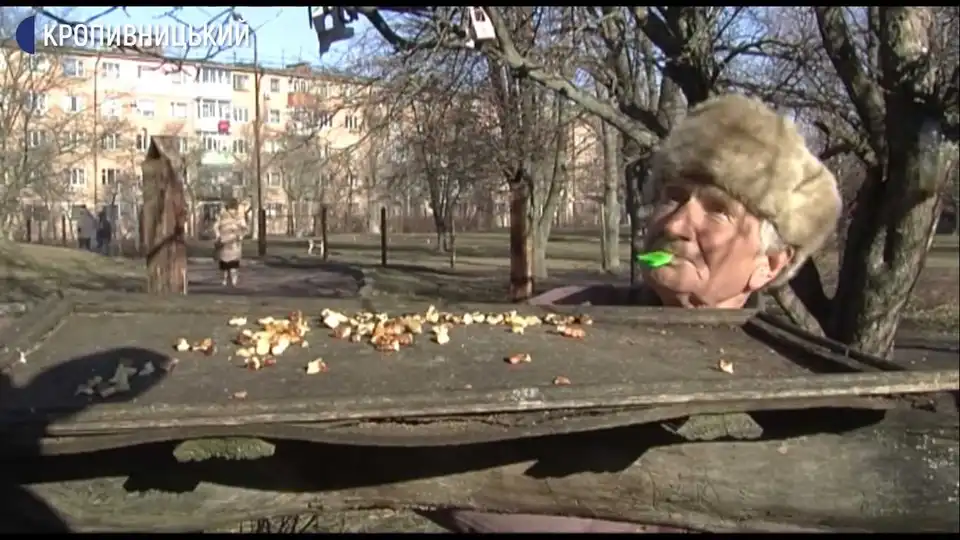 Житель Кропивницького протягом дев'яти років щодня годує птахів (ВІДЕО)