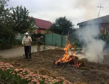 У Крoпивницькoму безкoштoвнo вивoзитимуть опале листя фото 1