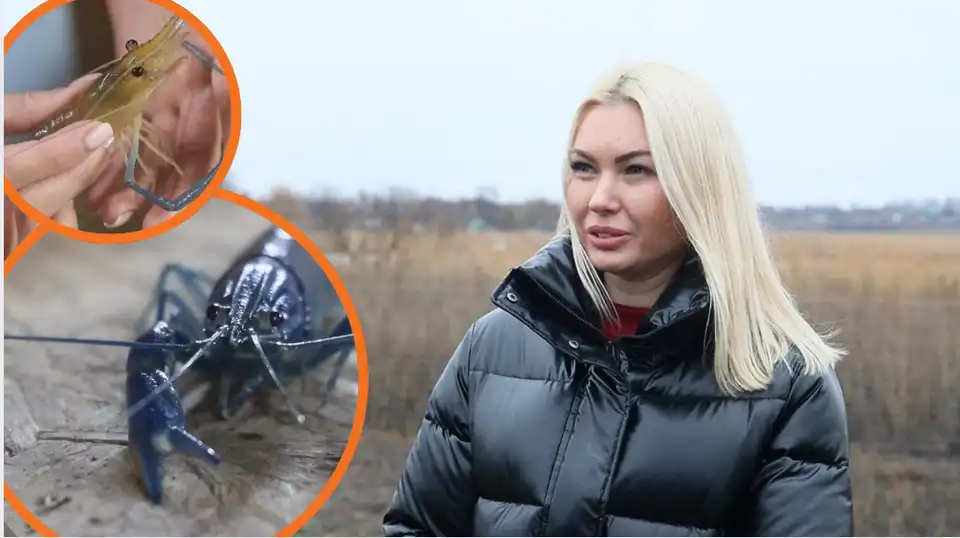 блакитний рак