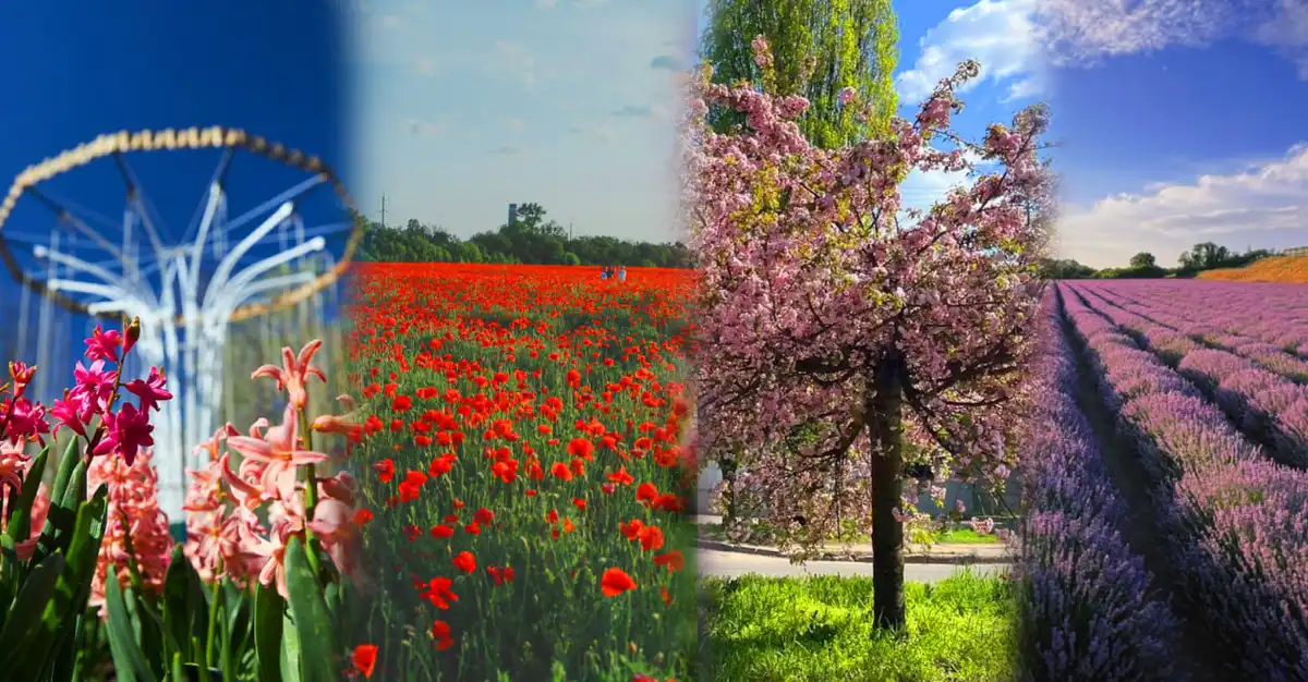 Гарні локації для фото у Кропивницькому