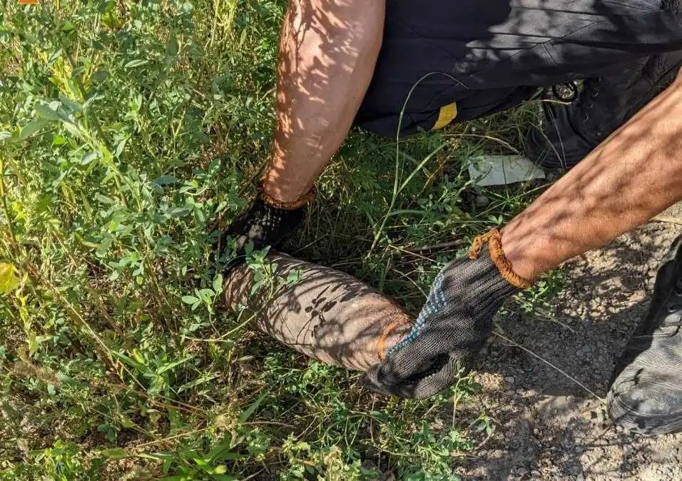 На Кіровоградщині знищили артснаряди, які чоловік знайшов у лісі (ФОТО) фото 1