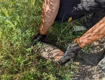 На Кіровоградщині знищили артснаряди, які чоловік знайшов у лісі (ФОТО) фото 1