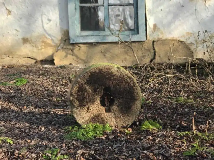 На Кіровоградщині "Баба Єлька" проводить аукціону на участь в етно-експедиції