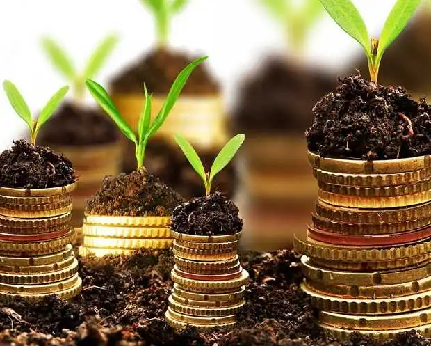 Пpезидент пообіцяв цього pоку пpовести земельну pефоpму