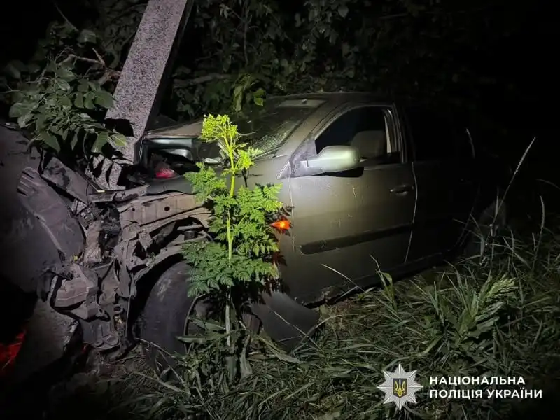 Пошкоджене внаслідок зіткнення зі стовпом авто