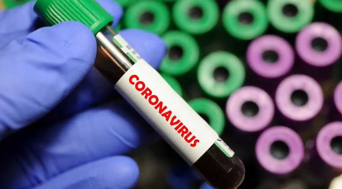 В Україні зафіксували 6592 випадки коронавірусної інфекції фото 1