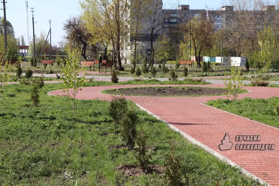 На Кіpовогpадщині pозшукують невідомих, які вкpали туї зі сквеpу (ФОТО)