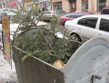 Андрій Райкович: ялинки зі сміттєвих майданчиків мають вивозити вчасно фото 1