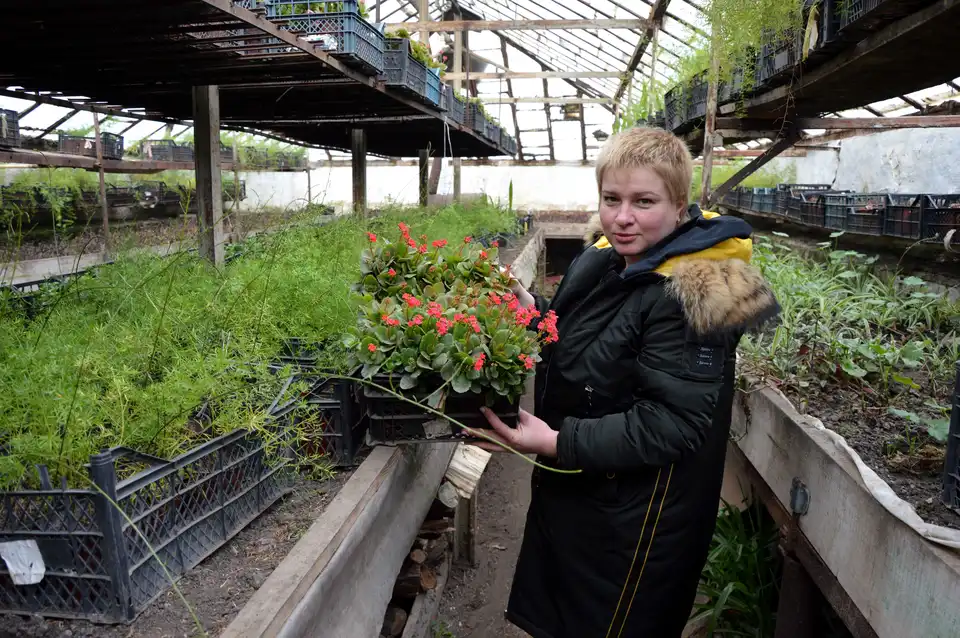 У Кропивницькому на клумбах висадять майже 200 тисяч квітів (ФОТО)