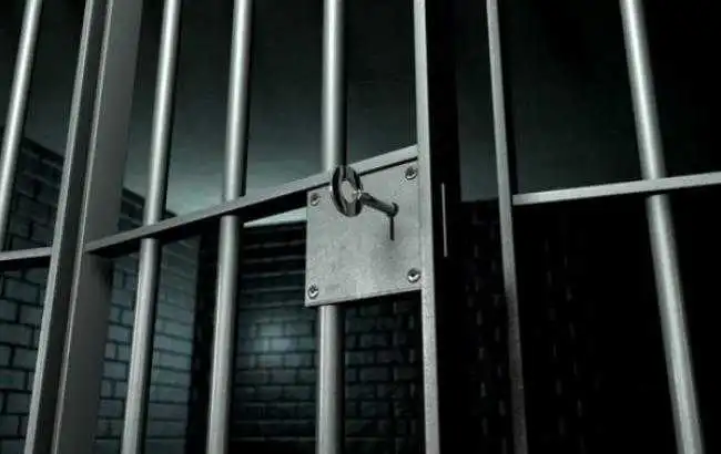 У Кропивницькому триматимуть під вартою водія, який на смерть збив дівчинку фото 1