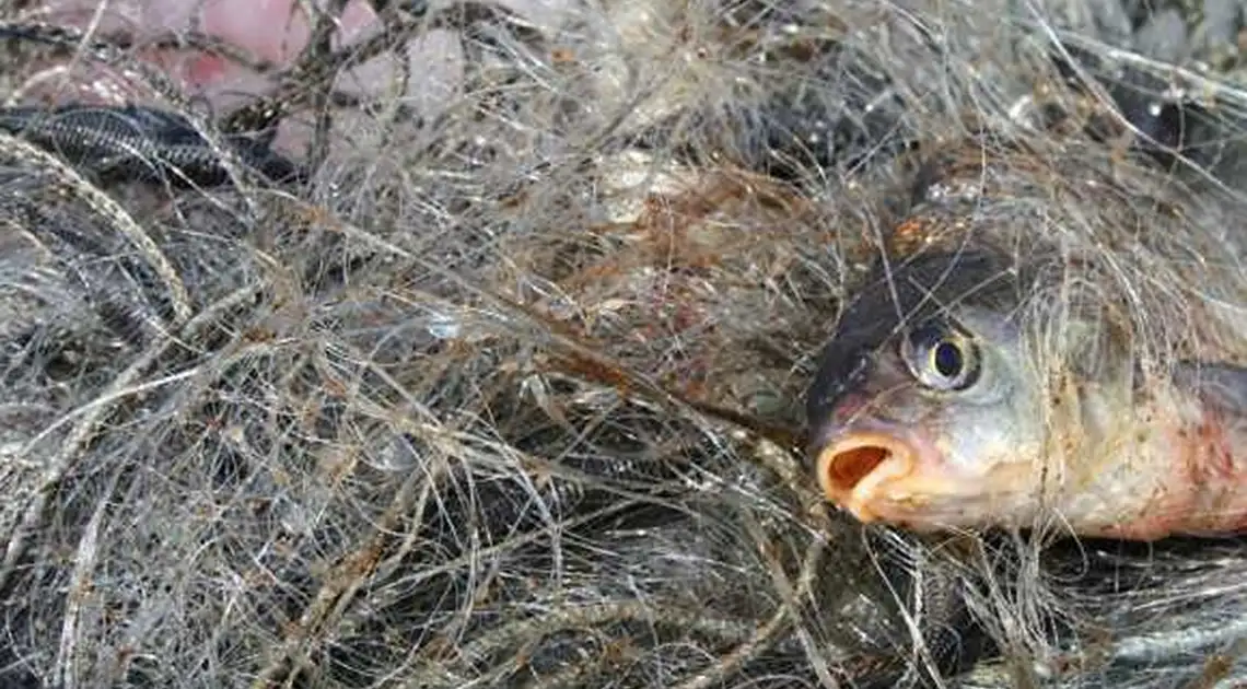 На Кіровоградщині браконьєр, який незаконно ловив рибу, отримав умовний термін фото 1
