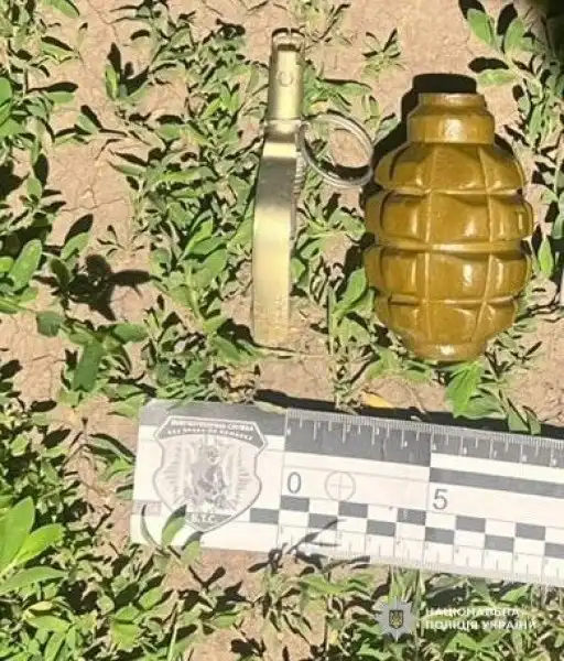 Гранату знайшли у чоловіка з Кропивницького, він тікав від поліції