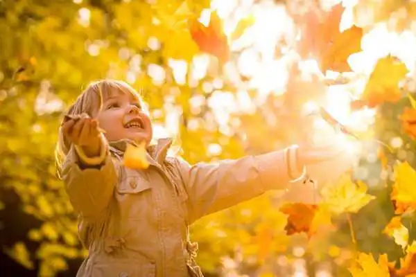 Бабине літо в розпалі: якою буде погода цими вихідними на Кіровоградщині
