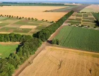 Мiн'юcт повернув законним власникам на Кіровоградщині земельні паї, які «віджали» державні реєстратори фото 1