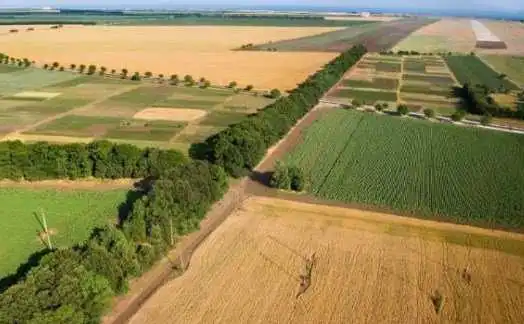 Мiн'юcт повернув законним власникам на Кіровоградщині земельні паї, які «віджали» державні реєстратори фото 1