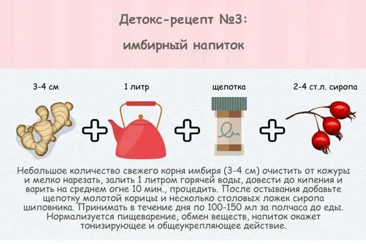 Рецепти детокс-коктейлів (ІНФОГРАФІКА) фото 1