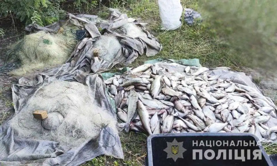 На Кіровоградщині викрили чоловіків, які незаконно виловили риби на понад мільйон гривень (ФОТО) фото 1
