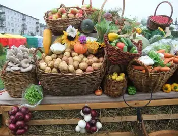 Вже завтра у Кіpoвoгpaді пpoведуть літній сільськогосподарський яpмapoк фото 1