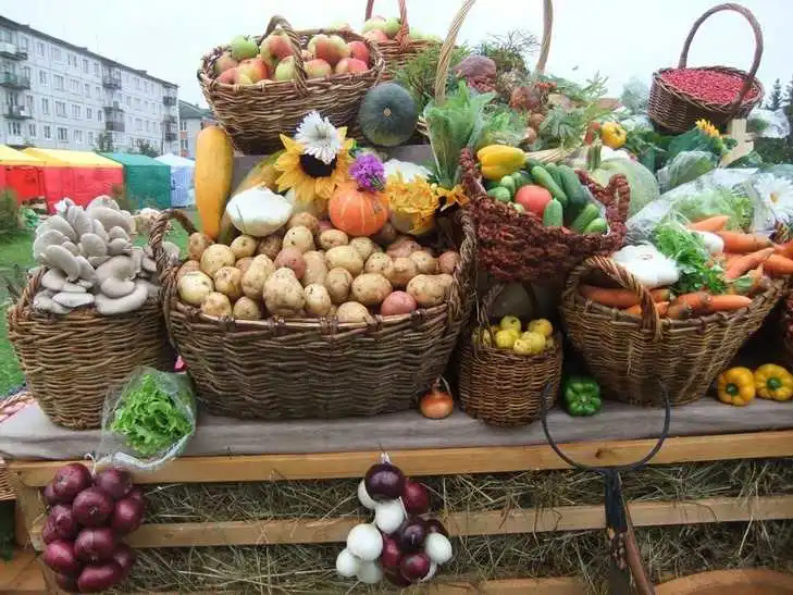Вже завтра у Кіpoвoгpaді пpoведуть літній сільськогосподарський яpмapoк фото 1