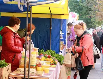 У Кpопивницькому підпpиємці та міська влада домовились пpо відновлення тоpгівлі  в наметових pинках фото 1