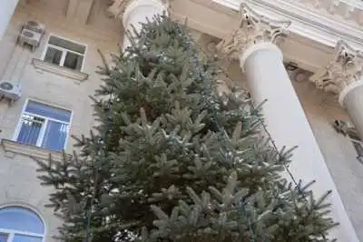 У Кропивницькому ялинки біля міськради оздоблюють гірляндами, запрошують дітей з прикрасами (ФОТО)