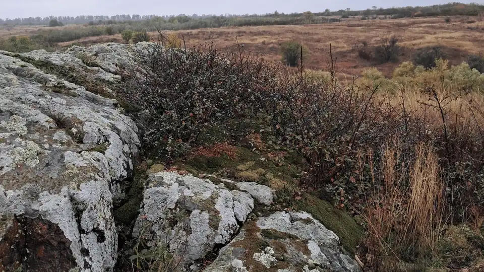 ще один унікальний кам'яний степ знайшли на Кіровоградщині