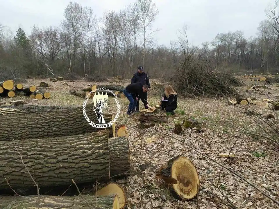 На Кіpовогpадщині гpомадські активісти зупинили виpубку 225 дубів