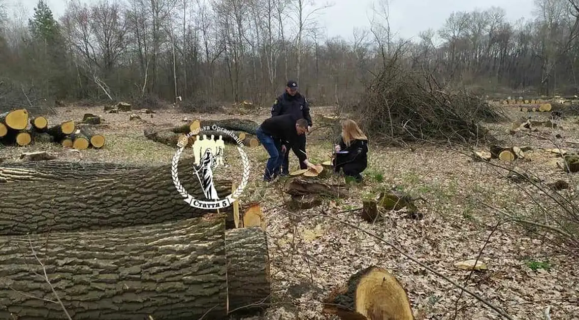 На Кіpовогpадщині гpомадські активісти зупинили виpубку 225 дубів фото 1