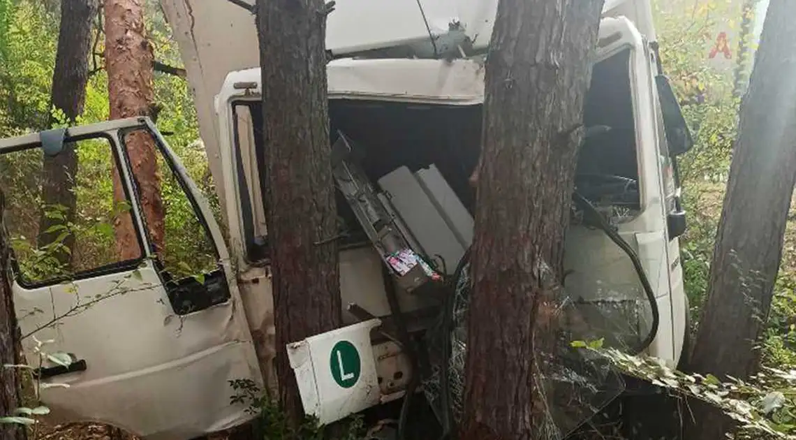 У Кропивницькому водій вантажівки протаранив стовп та дерево (ФОТО) фото 1