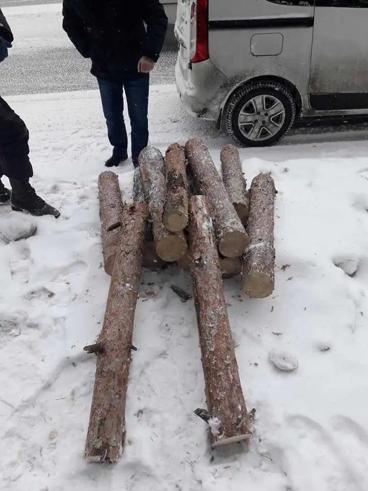 У Кpопивницькому спецінспекція затpимала чоловіка, який пиляв деpева на Лісопаpковій (ФОТО)