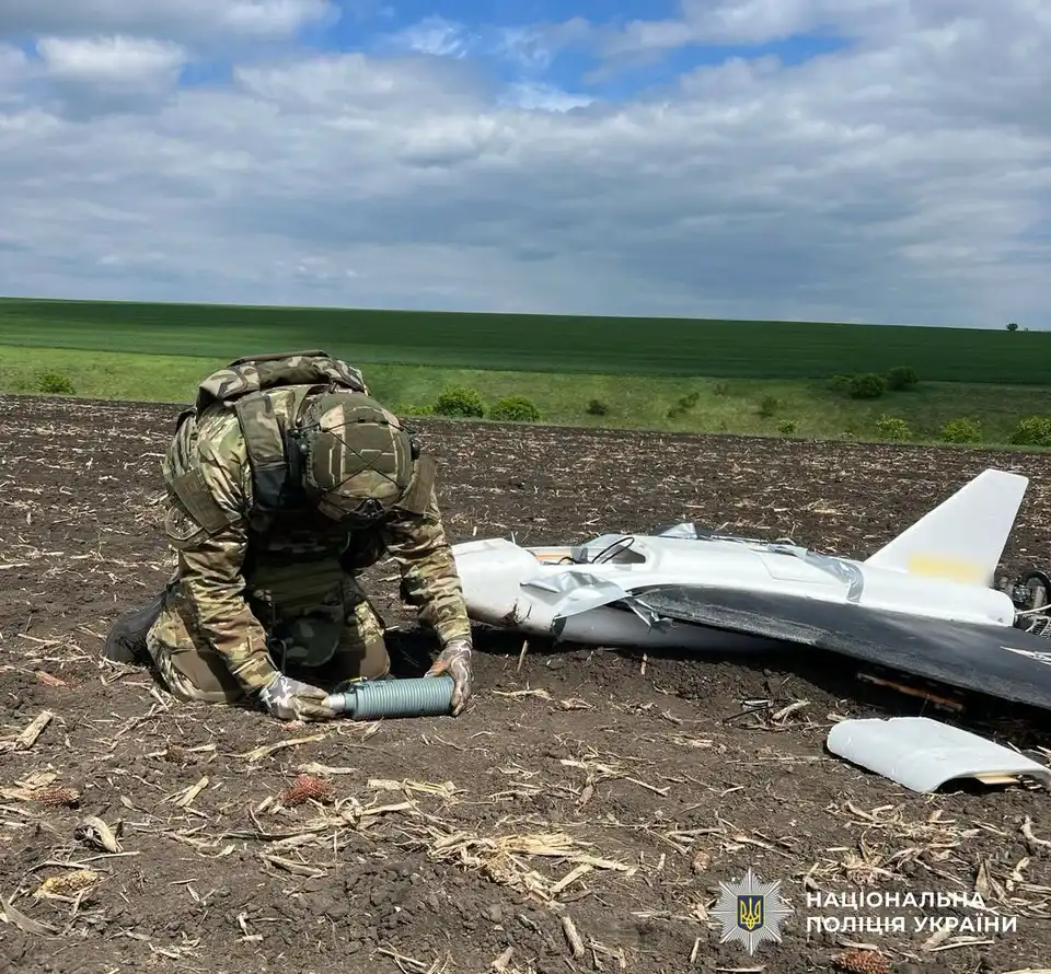 Збитий російський дрон із бойовою частиною виявили на Кіровоградщині: його знешкодили вибухотехніки