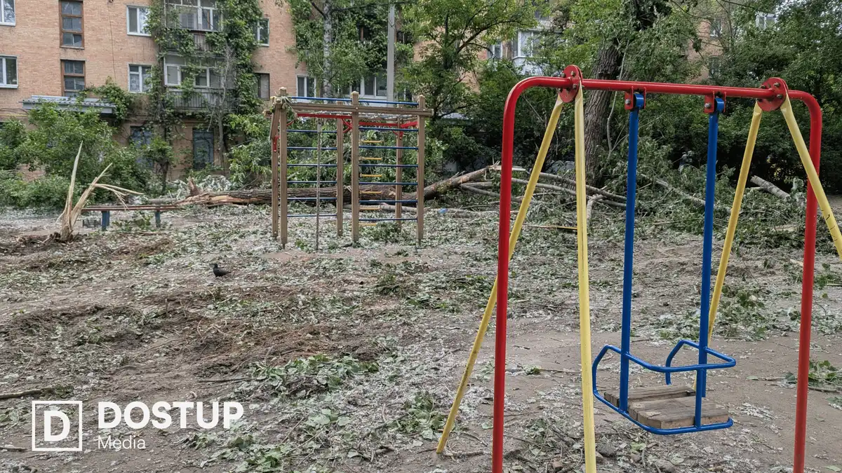 не прибрані дерева