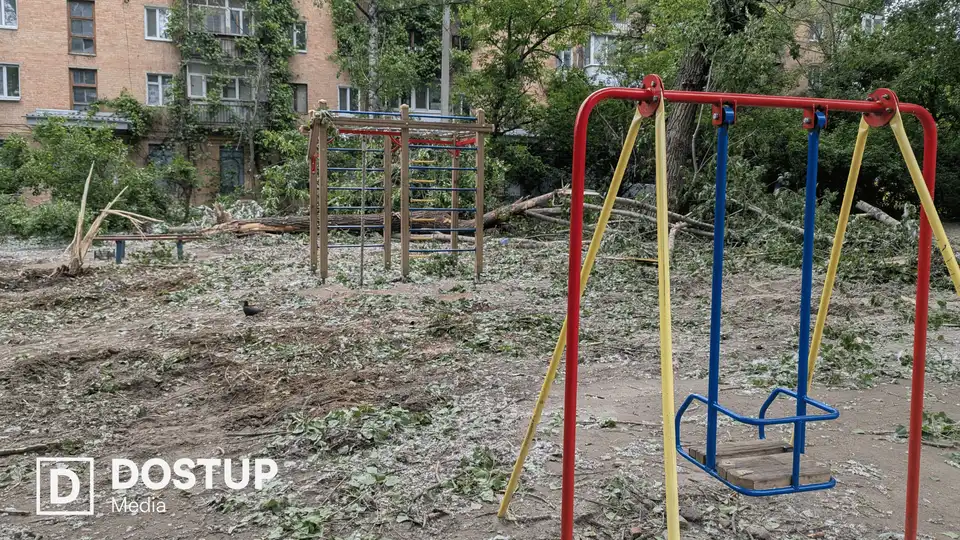 не прибрані дерева