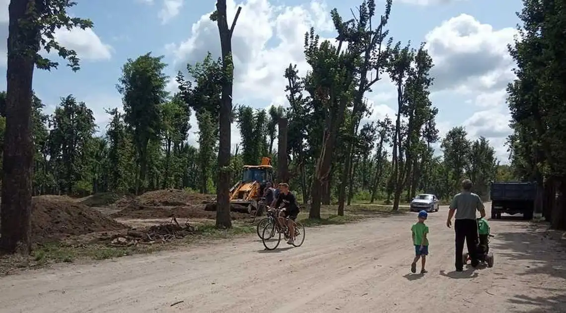 У Кропивницькому "Єлізавета" не понесе відповідальності за варварську обрізку дерев фото 1