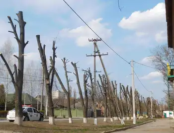 У Кропивницькому після огляду комісії спиляють 26 дерев (ПЕРЕЛІК) фото 1