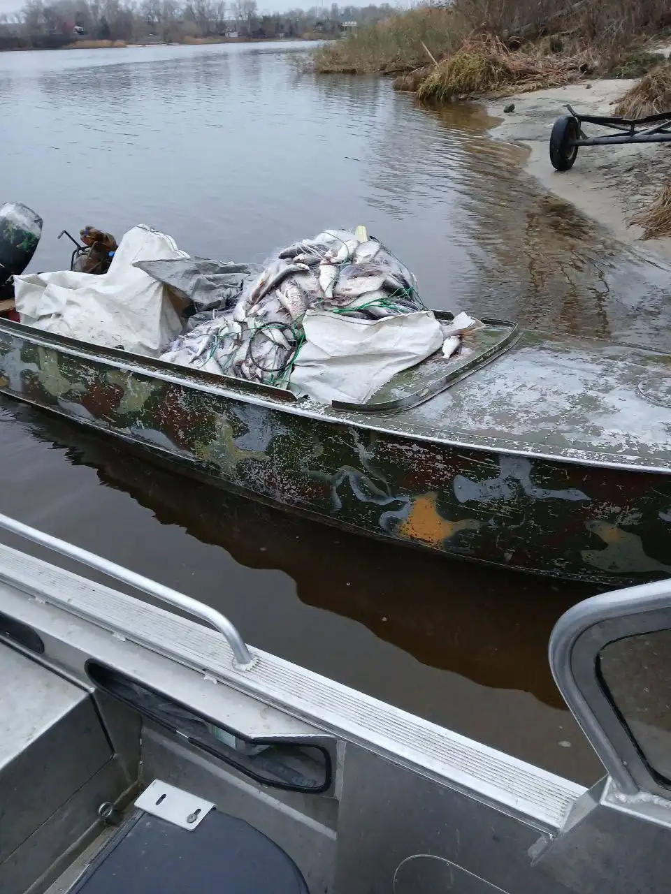 браконьри на Кіровоградщині