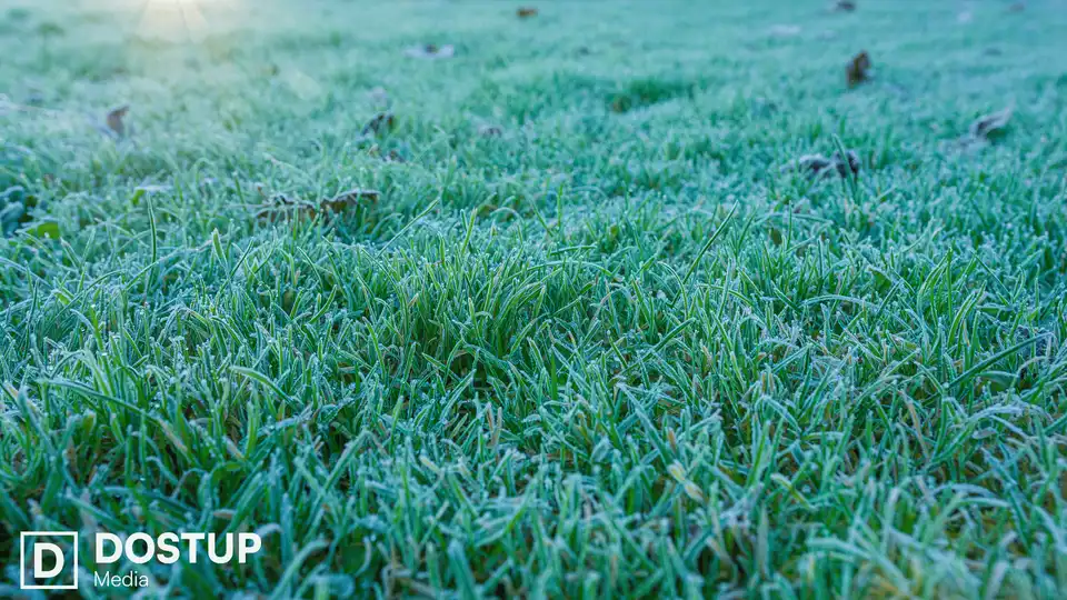 заморозки в Кіровоградській області