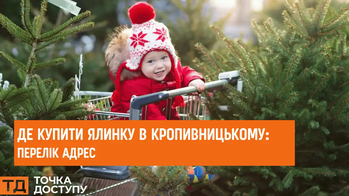 Де купити ялинку в Кропивницькому
