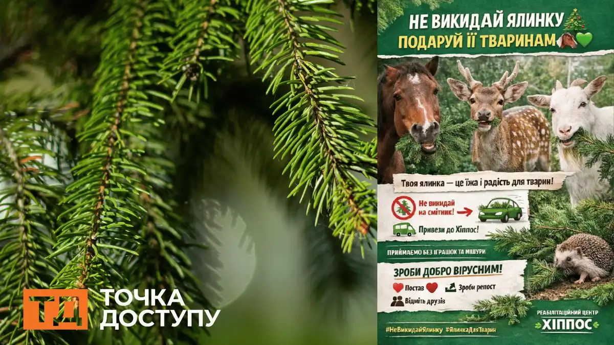 Не сміття, а корм для тварин: у Кропивницькому закликають привезти ялинки в реабілітаційний центр Hippos фото 1