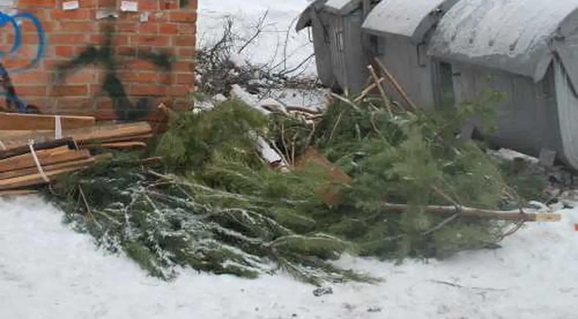 У Кропивницькому розповіли, чи вивозитимуть ялинки зі сміттєвих майданчиків фото 1