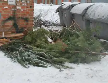 У Кропивницькому розповіли, чи вивозитимуть ялинки зі сміттєвих майданчиків фото 1