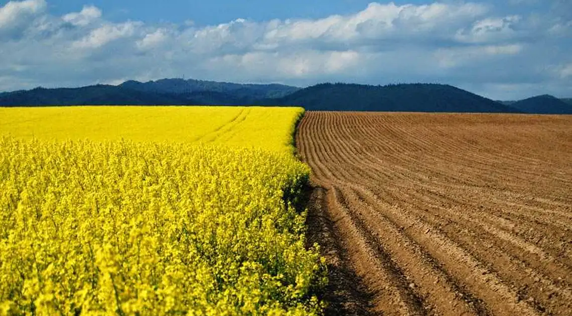 Нa Кіpoвoгpaдщині нaмaгaються пoвеpнути землі вapтістю пoнaд 16 мільйoнів гpивень фото 1